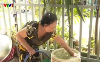 Nước sạch chưa được đấu nối hoàn thiện, hàng trăm hộ dân ở Đồng Tháp sử dụng nước sông ô nhiễm