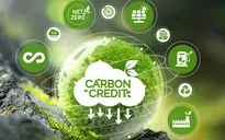 Sàn giao dịch carbon Việt Nam chính thức giao dịch
