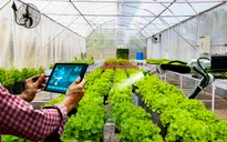 Đề xuất cắt giảm 40 điều kiện đầu tư nông nghiệp