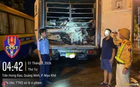 Phát hiện xe tải đông lạnh chở gần 9 tấn da trâu muối không rõ nguồn gốc