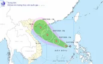 Từ Quảng Ninh đến Khánh Hòa chủ động ứng phó với áp thấp nhiệt đới