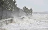 Theo dõi sát áp thấp nhiệt đới, bảo đảm an toàn cho người dân và du khách tại các điểm du lịch ven biển