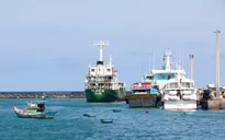 Lâm Đồng yêu cầu chủ động ứng phó áp thấp nhiệt đới khả năng mạnh thành bão