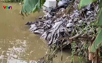 Người dân lo ngại ô nhiễm từ xưởng tập kết phế liệu