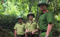 Nghệ An: Liên tiếp “giải cứu” nhiều động vật quý hiếm, thả về môi trường tự nhiên