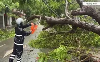 Quảng Ninh: Khoảng 1.000 cây xanh gãy đổ, 600ha nuôi trồng thủy sản bị thiệt hại sau bão số 1