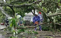 Quảng Ninh thiệt hại khoảng 20 tỷ đồng do bão số 1