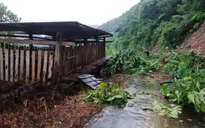 Lai Châu: Một người dân xã Lê Lợi bị lũ cuốn tử vong
