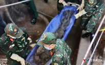 Quy tập thêm 9 hài cốt liệt sĩ tại Công viên Lê Thị Riêng, xác minh danh tính thân nhân liệt sĩ Huỳnh Văn Quên