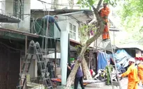 Tháo dỡ mái che, công trình lấn chiếm tại khu tập thể cũ nhằm giảm nguy cơ cháy nổ