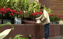 Người dân TP Hồ Chí Minh dâng hương tưởng niệm các Anh hùng liệt sĩ