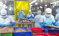 Thách thức với xuất khẩu thủy sản nửa cuối năm