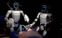 Robot hình người lần đầu phẫu thuật trên lợn sống
