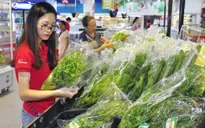 Hà Nội phát triển các vùng sản xuất nông nghiệp tập trung, quy mô lớn