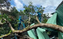 Mưa lớn kèm dông lốc làm 5 căn nhà ở Đồng Nai bị tốc mái, hư hỏng