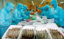 Giá cước vận tải biển tăng ảnh hưởng đến ngành thủy sản