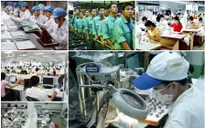 Gần 6,3 triệu cơ sở kinh tế tạo việc làm hơn 30 triệu lao động
