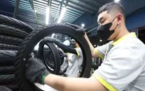 Việt Nam thuộc nhóm 5 quốc gia dẫn dắt chu kỳ tăng trưởng kinh tế mới của ASEAN