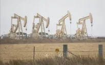 OPEC hạ dự báo tăng trưởng nhu cầu dầu toàn cầu