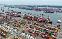 Xuất khẩu của Trung Quốc tăng mạnh nhất trong 4 tháng