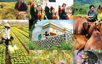 Giao bổ sung dự toán chi ngân sách trung ương, kế hoạch đầu tư công vốn ngân sách trung ương cho 27 địa phương