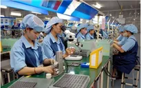 Từ 10/9, áp dụng quy định mới xử phạt vi phạm trong lĩnh vực lao động, bảo hiểm xã hội