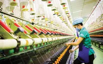 TP. Hồ Chí Minh: Sản xuất công nghiệp kỳ vọng tiếp tục khởi sắc