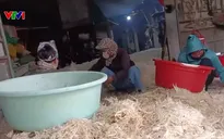 Cơ sở chế biến lông vịt ở xã Ứng Thiên (Hà Nội) gây ô nhiễm, bốc mùi hôi