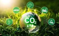 Thủ tục hành chính mới về giảm nhẹ phát thải khí nhà kính và tín chỉ carbon