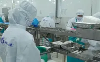 Xuất khẩu nông, lâm, thủy sản đạt gần 36 tỷ USD