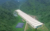 Tai nạn tại trang trại lợn ở Thanh Hóa làm 7 người thương vong