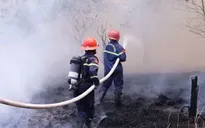Quảng Trị: Huy động nhiều lực lượng dập đám cháy rừng bùng phát trở lại