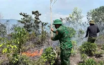 Huế khống chế liên tiếp 2 vụ cháy rừng trong ngày