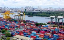 Giữ nhịp xuất khẩu, đa dạng các thị trường mới trong các tháng cuối năm