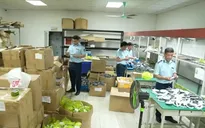 Thu giữ hàng nghìn đèn LED giả xuất xứ Việt Nam