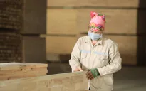 Muốn cạnh tranh, ngành gỗ phải có "hộ chiếu xanh"