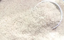 Giá gạo xuất khẩu của Việt Nam tăng mạnh
