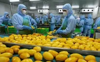 Mỹ thúc đẩy xuất khẩu nông sản sang Việt Nam