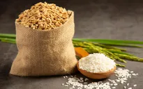 Giá nông sản thế giới cao nhất ba năm
