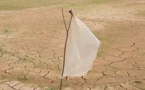 Campuchia ứng phó hạn hán do El Nino