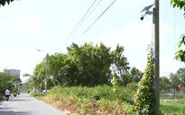 TP Hồ Chí Minh tăng cường xử lý xả rác bằng hệ thống camera tích hợp AI