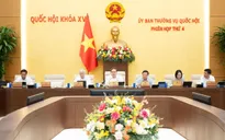 Không làm ảnh hưởng đến môi trường khi thực hiện dự án đô thị lấn biển