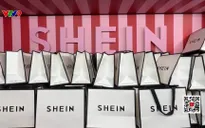 Shein thua lỗ do thuế quan