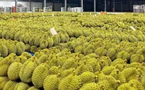 Lần đầu tiên xuất khẩu rau quả Việt Nam vượt mốc 1 tỷ USD/tháng