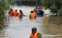 Lâm Đồng: Mưa lớn gây ngập cục bộ, 16 người dân được giải cứu kịp thời
