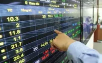 VN-Index tăng hơn 11 điểm
