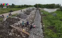 Nhiều địa phương khẩn trương gia cố điểm xung yếu, ứng phó sạt lở và mưa lũ
