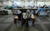 Nhật Bản khắc phục tình trạng thiếu nước sau động đất tại Kumamoto