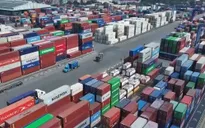 TP Hồ Chí Minh miễn phí hạ tầng cảng biển 3 năm để tiếp sức cho doanh nghiệp
