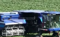 Robot laser thúc đẩy nông nghiệp thông minh